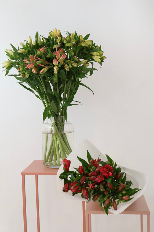 Fresh Alstroemeria bunch