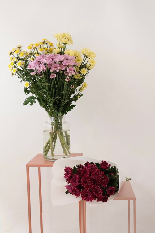 Chrysanthemum fresh flower bunch in white wrapping