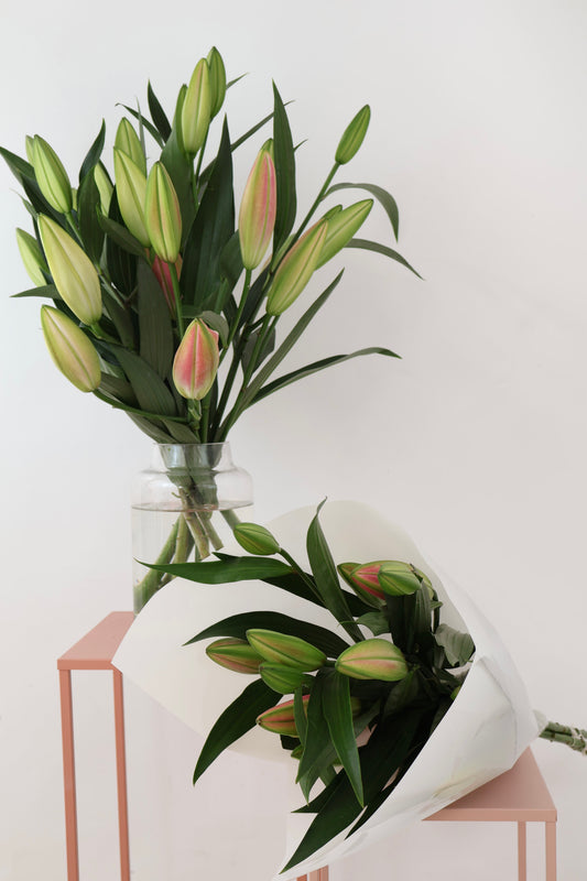 Oriental Lily fresh flower bouquet in white wrapping